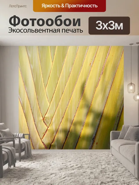 Фотообои Пальма