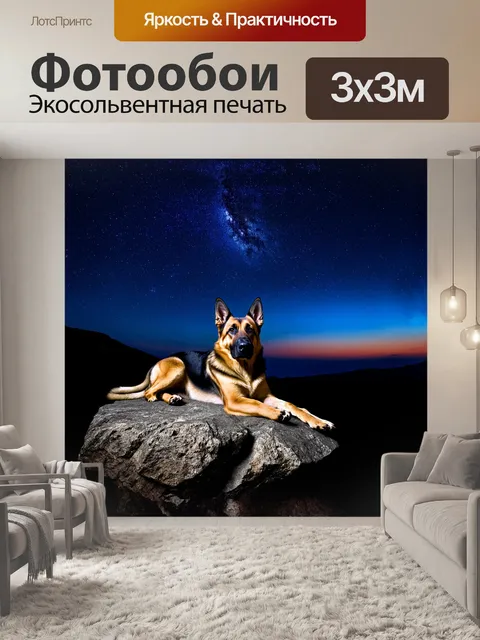 Фотообои немецкая овчарка, лежащая на каменном выступе, глядя на звездное ночное небо, в стиле ночной фотографии с…