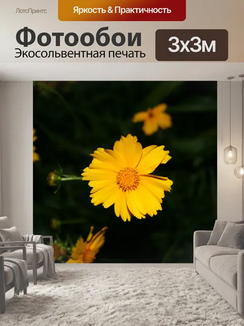 Фотообои ярко-желтый ромашка