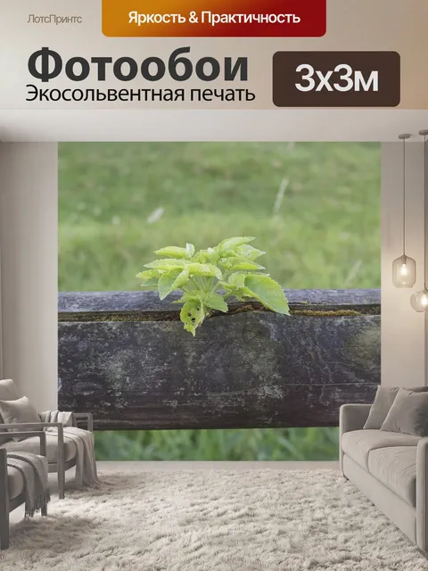 Фотообои Завод