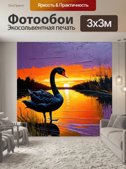 Фотообои черный лебедь, сидящий на краю пруда, глядя на яркий закат