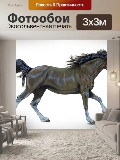 Фотообои Лошадь
