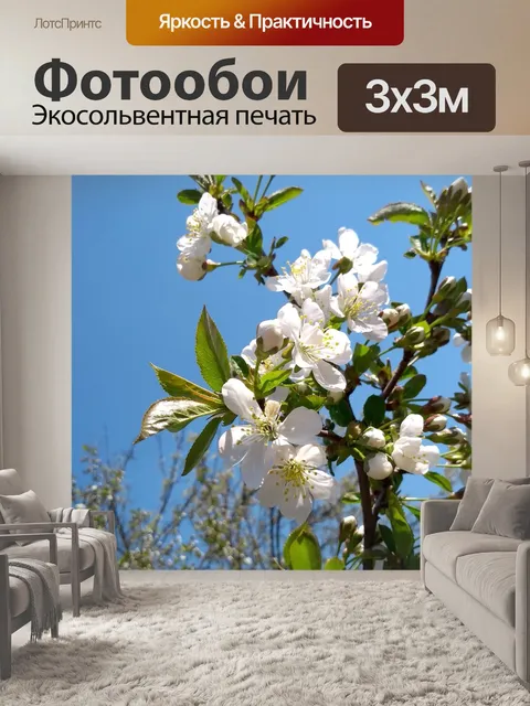 Фотообои Ветка вишни