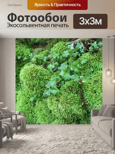 Фотообои Зеленый мох