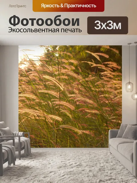 Фотообои Цветки одичалые Стоковая Фотография