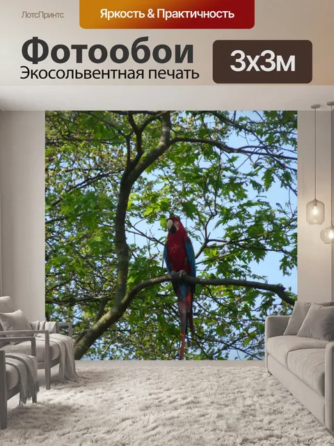 Фотообои Красный и зеленый ара