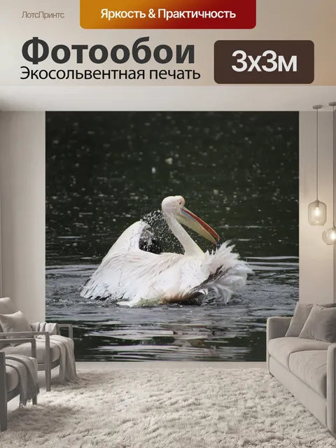 Фотообои Пеликан