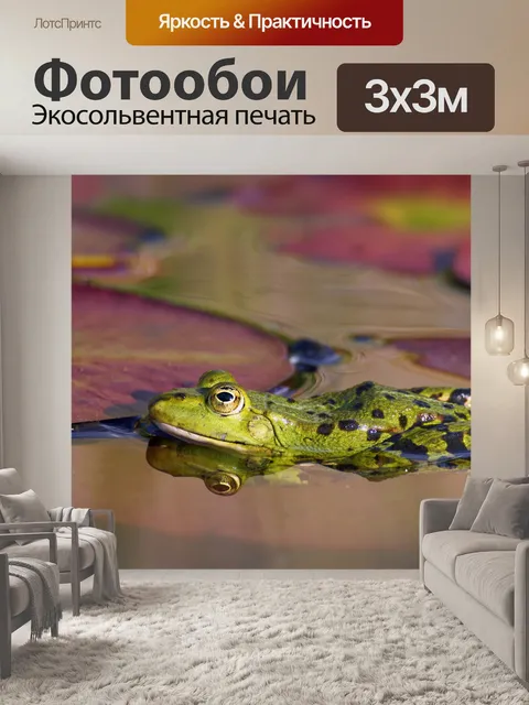 Фотообои Пруд лягушка зеленая лягушка амфибия