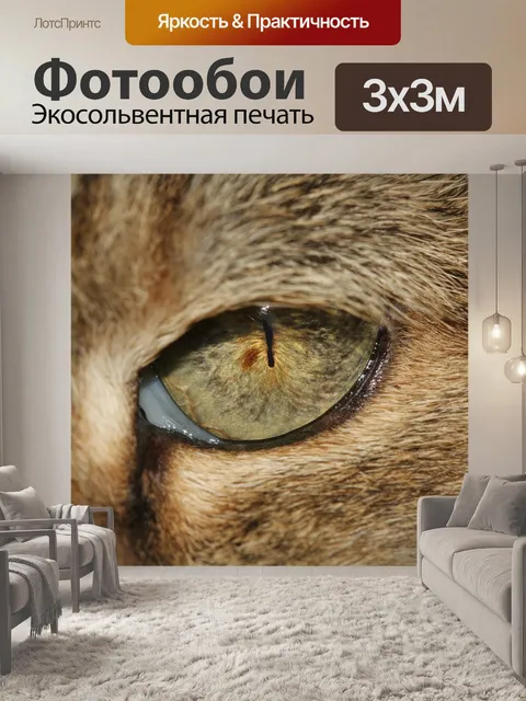 Фотообои Глаз кошки
