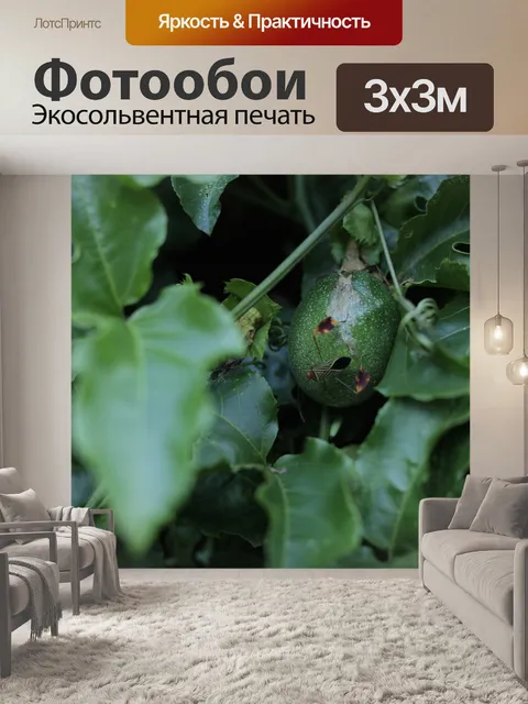 Фотообои Листья