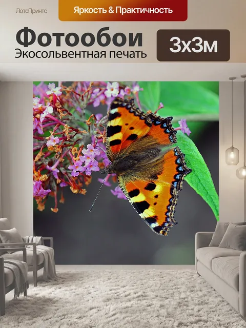 Фотообои Маленькая лиса