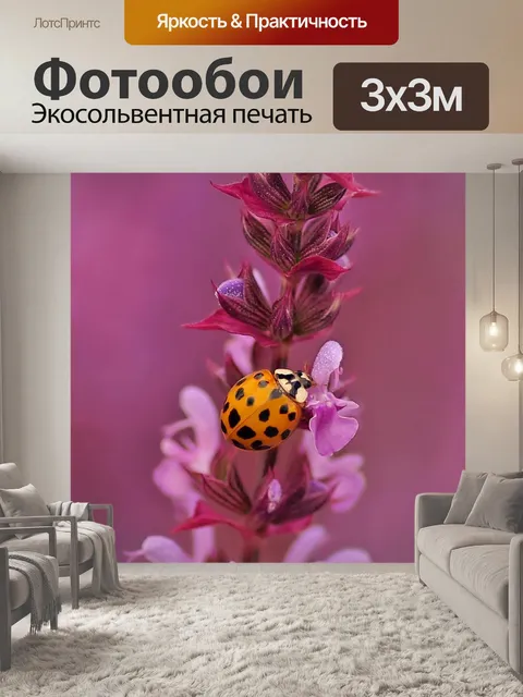 Фотообои Божья коровка шалфей в