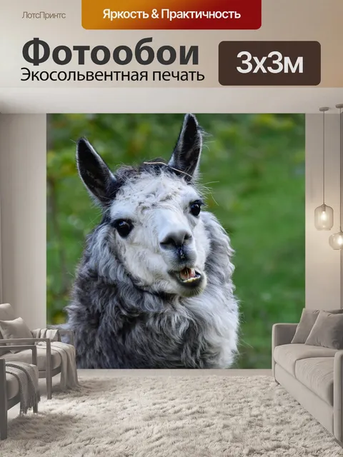 Фотообои Альпака
