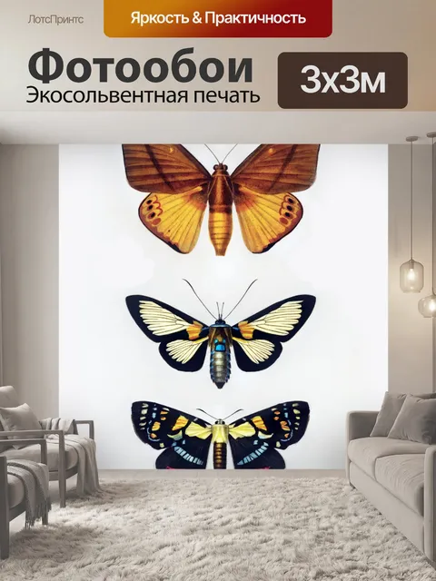 Фотообои Бабочка моли мотылек винтаж
