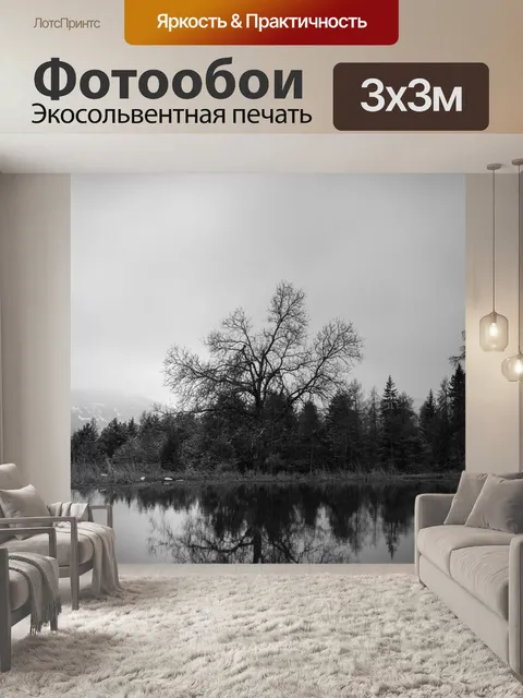 Фотообои Лес
