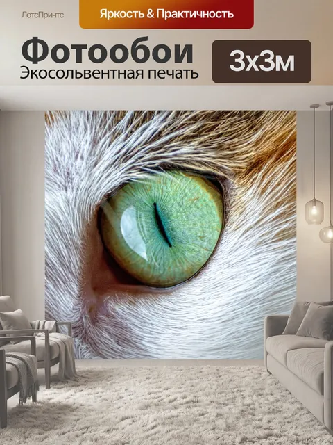 Фотообои Кошачий глаз