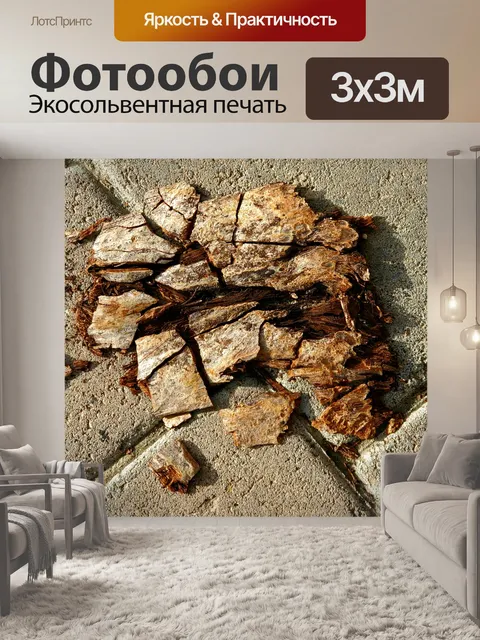 Фотообои Сломанный образец коры пальмы