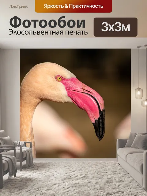 Фотообои Два