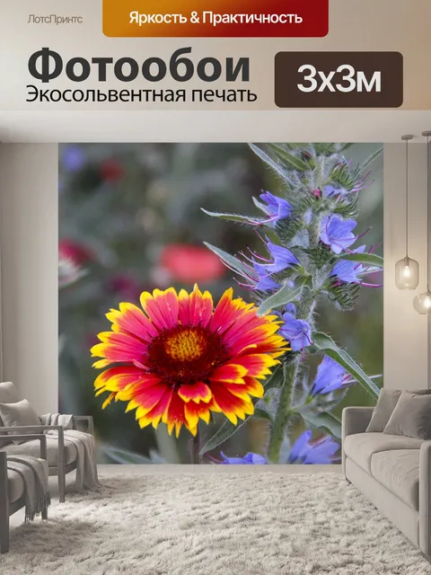 Фотообои Цветы