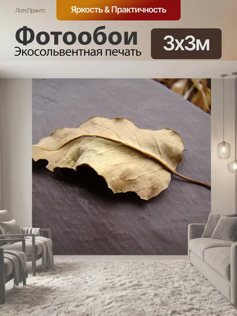 Фотообои Лист