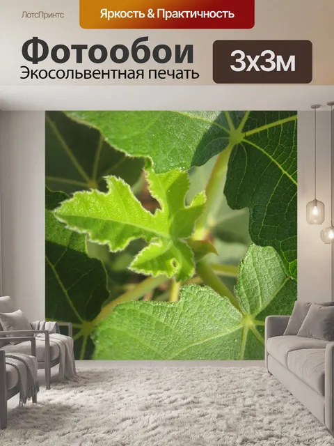 Фотообои Фиговый лист