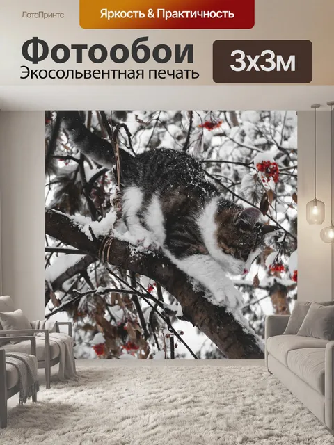 Фотообои Кот