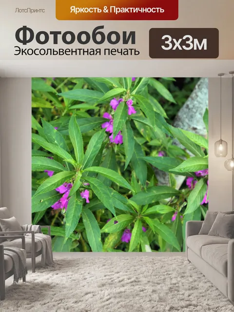 Фотообои фиолетовый цветок