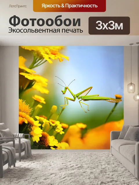 Фотообои на ярком фоне садовых цветов, зеленый богомол парит в воздухе, ловя своего обеда – бабочку