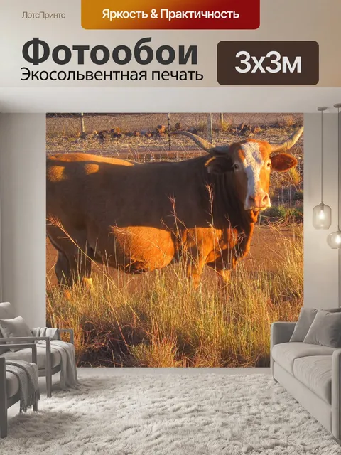 Фотообои крупного рогатого скота в ВС