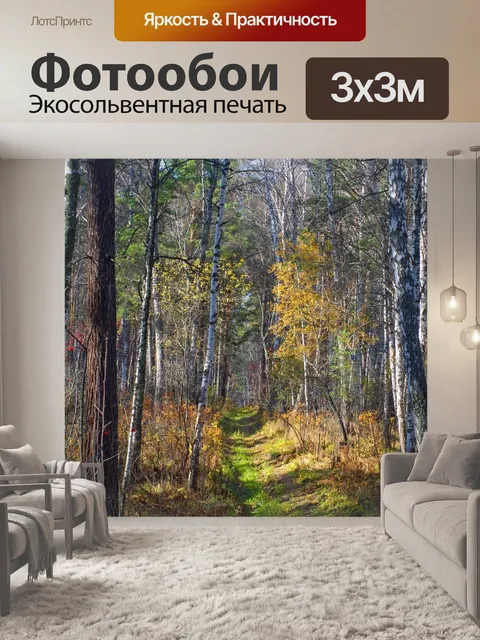Фотообои Дорога