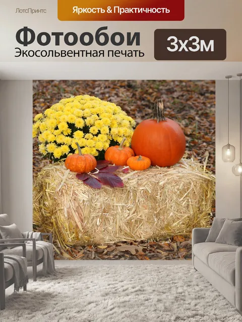 Фотообои Тыквы и цветы на сенокосе