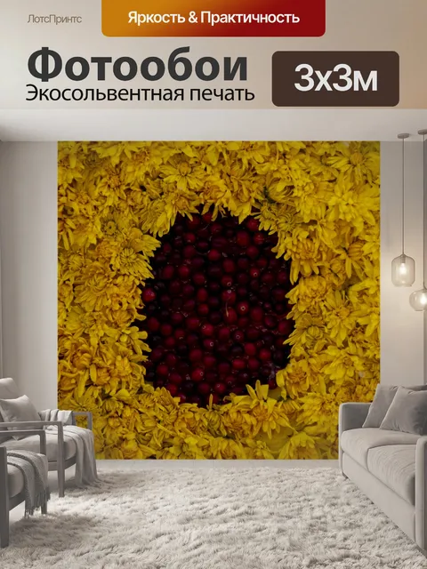 Фотообои ромашки и клюква