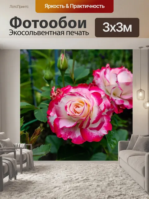 Фотообои Розы