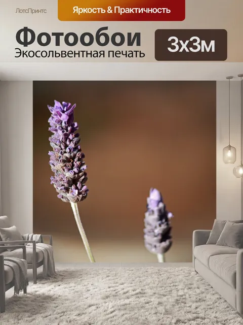 Фотообои фиолетовый цветок лаванды на стебле