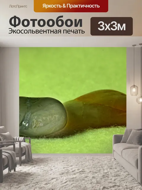 Фотообои Гнездо дракона, или просто галька!
