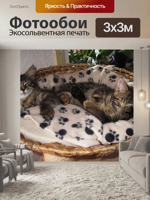 Фотообои Спать