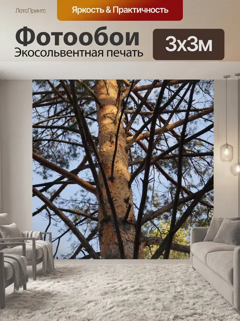 Фотообои Дерево