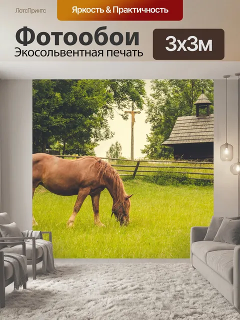 Фотообои Лошадь на пастбище
