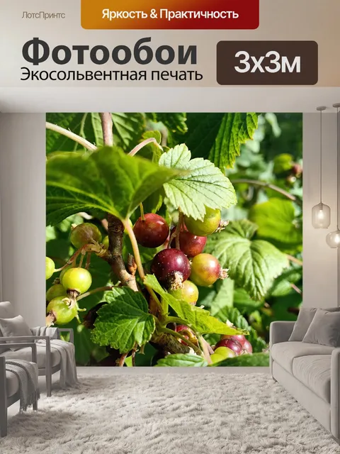 Фотообои Черная ягода