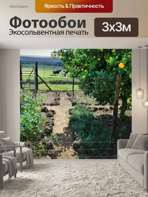 Фотообои лимонное дерево в огороде