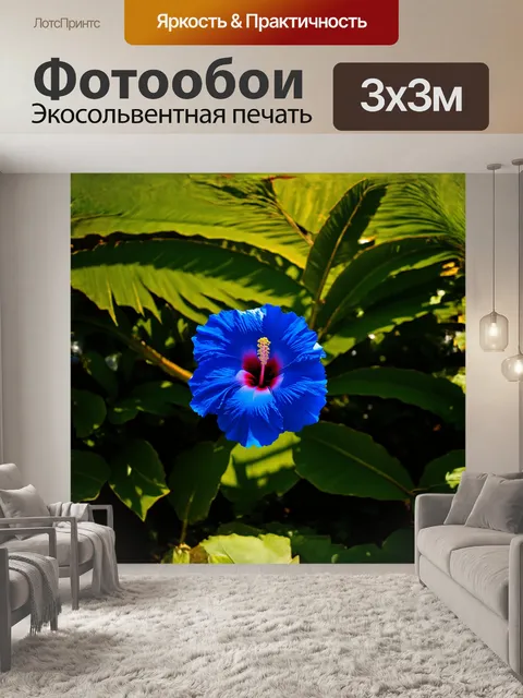 Фотообои гибискус, ярко-синий, возвышается на фоне зелёных, сочных тропических листьев