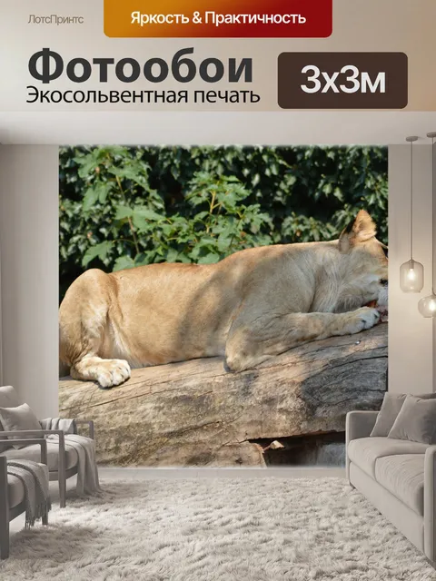 Фотообои Животное король 10