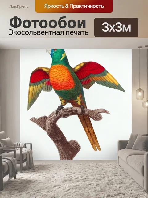 Фотообои Попугай птица старинное искусство