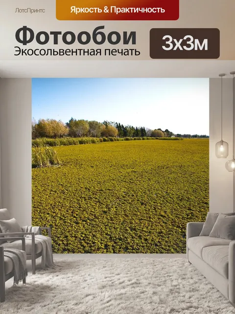 Фотообои Ранчо