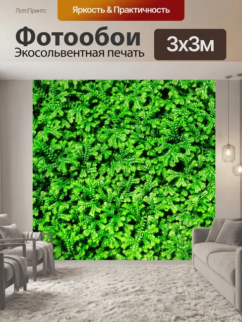 Фотообои Фон из листьев папоротника