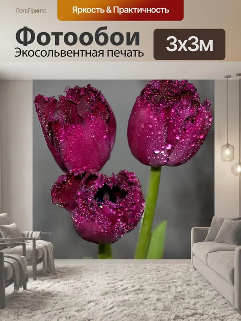 Фотообои Тюльпаны