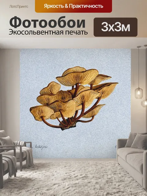 Фотообои Винтажная иллюстрация чемпиона грибов