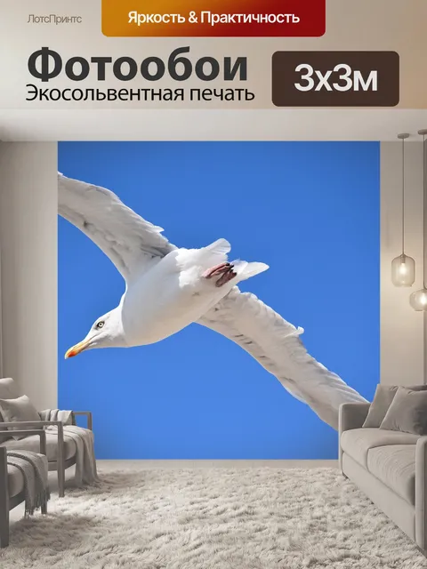 Фотообои Чайка