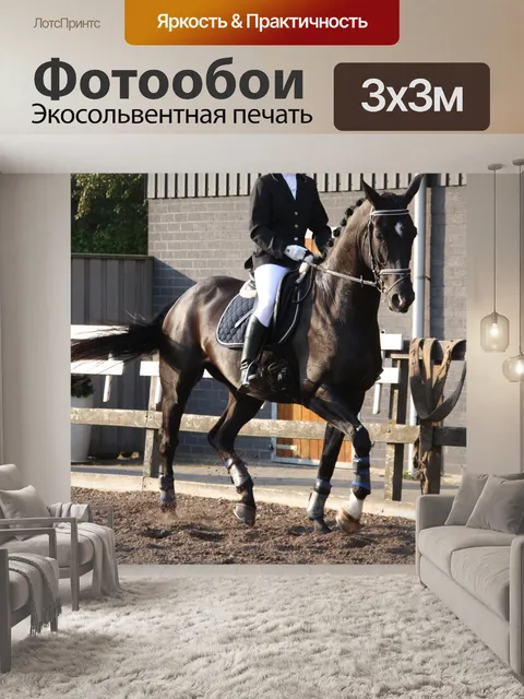 Фотообои Выездка