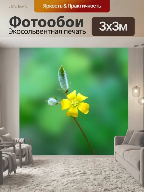 Фотообои Цветок